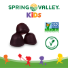 Spring Valley Kids' Elderberry Gummies;  120 Count